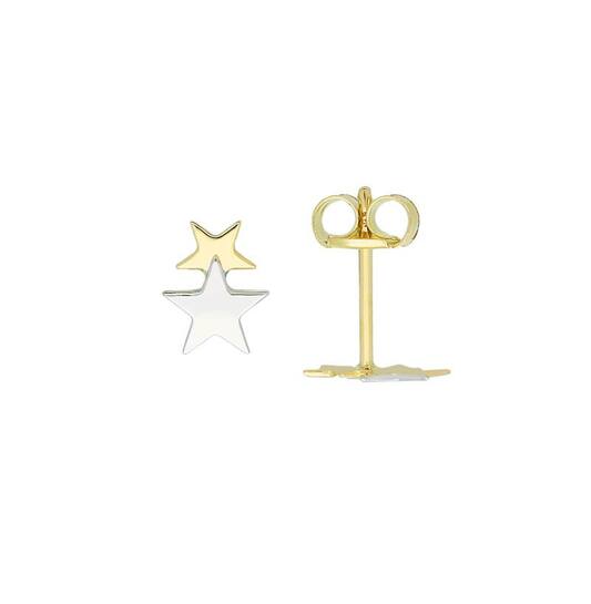 14kt. bicolor gouden oorstekers dubbele ster
