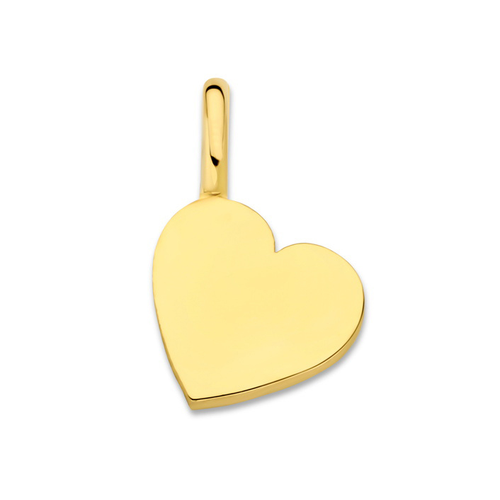 11381 hanger 14kt hartvormig 