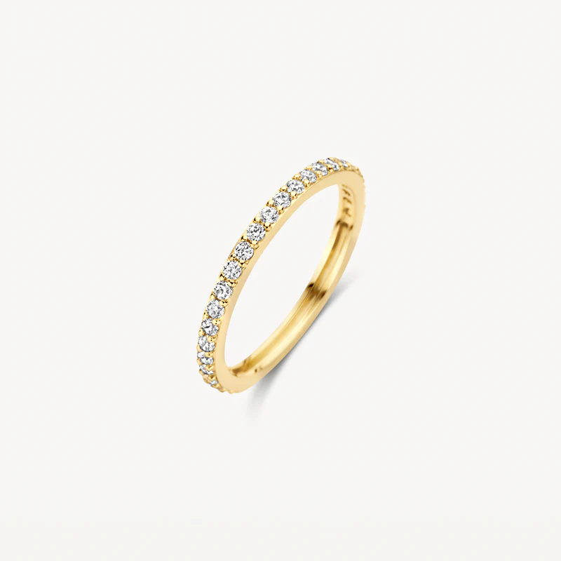 Deze stijlvolle 14k geelgouden ring is bijna helemaal rondom bezet met schitterende zirkonia’s in pavé-zetting. De band heeft een doorsnede van 1,9 mm. De ring is prachtig op zichzelf, maar ook mooi te combineren met oorringen 7306YZI uit onze collectie.

Type goud: 14k Geel goud
Type zetting: Pavé-zetting
Type steen: Zirkonia
Diameter: ø 1.9 mm