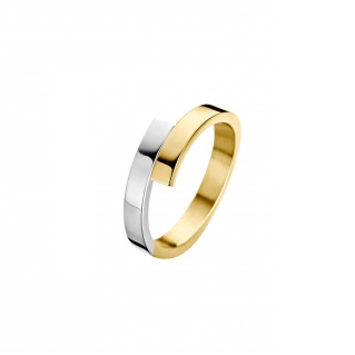 Fjory Bicolor Goud Slagring met zilveren kern