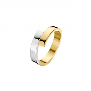 Fjory - Goud met zilveren kern, slagring bicolor - 41-R37XXX4