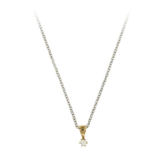 Gouden hanger met 0.05ct. diamant in 6 poot g-si (excl. collier).