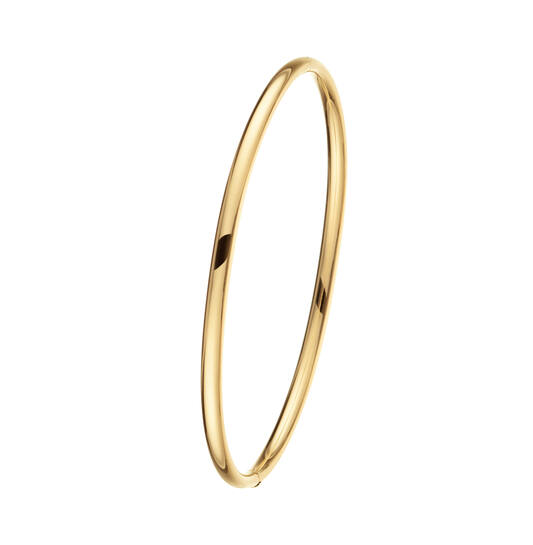 Glow 204.2463.60 Dames Armband

- Goud Armband Zilveren Kern
- Armband gemaakt van 14 karaat goud, in de kleur goud
- De breedte van deze armband is 3 mm
- De lengte van deze armband is 60 mm

GESLACHT	Dames
TYPE ARMBAND	Bangle
KLEUR - ALGEMEEN	Goud
BREEDTE	3 mm
LENGTE	60 mm
MATERIAAL	14 Karaat Goud
BEVAT STENEN	Zonder steen