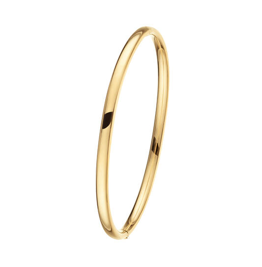 Glow 204.2464.62 Dames Armband

- Goud Armband Zilveren Kern
- Armband gemaakt van 14 karaat goud, in de kleur goud
- De breedte van deze armband is 4 mm
- De lengte van deze armband is 62 mm