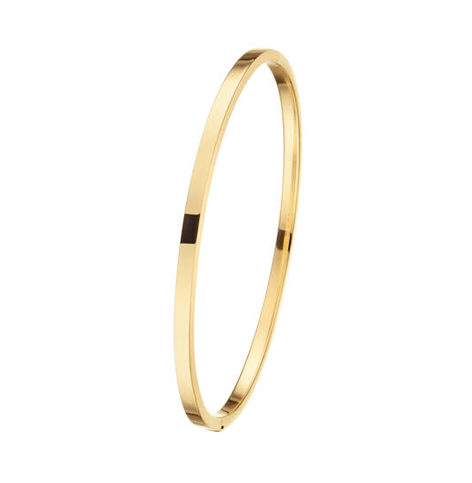 Glow 204.2563.60 Dames Armband

- Goud Armband Zilveren Kern
- Armband gemaakt van 14 karaat goud, in de kleur goud
- De breedte van deze armband is 3 mm
- De lengte van deze armband is 60 mm

GESLACHT	Dames
TYPE ARMBAND	Bangle
KLEUR - ALGEMEEN	Goud
BREEDTE	3 mm
LENGTE	60 mm
MATERIAAL	14 Karaat Goud
