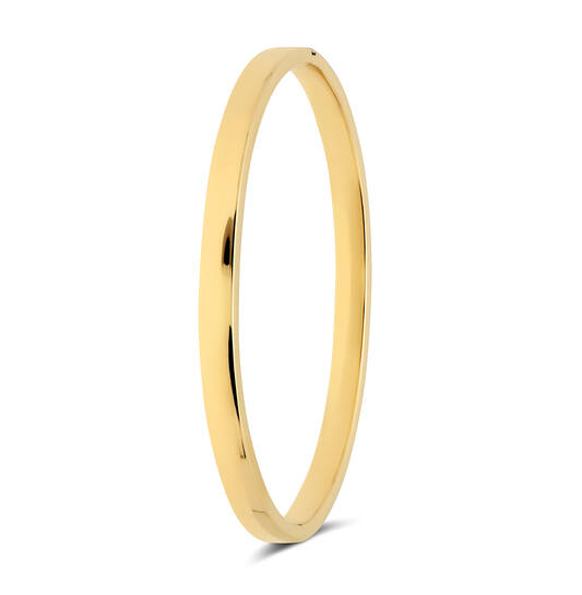 Glow 204.2565.60 Dames Armband

- Goud met Zilveren Kern
- Armband gemaakt van 14 karaat goud, in de kleur goud
- De breedte van deze armband is 5 mm
- De lengte van deze armband is 60 mm

GESLACHT	Dames
TYPE ARMBAND	Bangle
KLEUR - ALGEMEEN	Goud
BREEDTE	5 mm
LENGTE	60 mm
MATERIAAL	14 Karaat Goud
