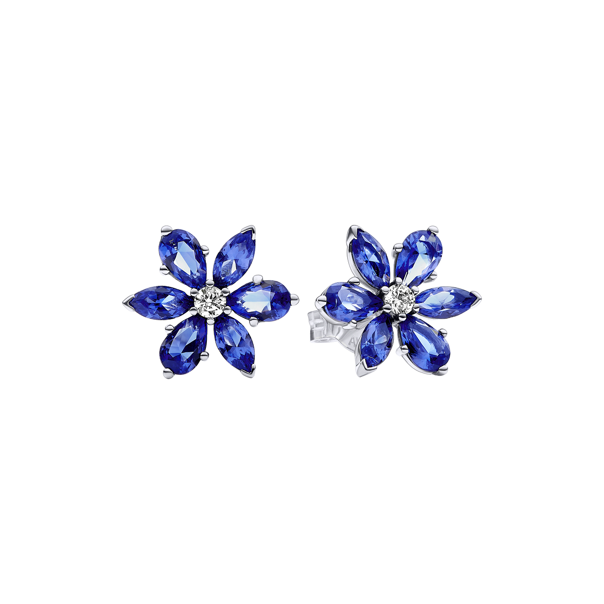 Pandora  - Herbarium cluster -292407C01