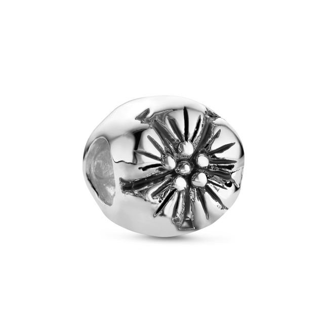 Zilveren Bedel past op alle armbanden zoals Pandora Troll Beads enz.