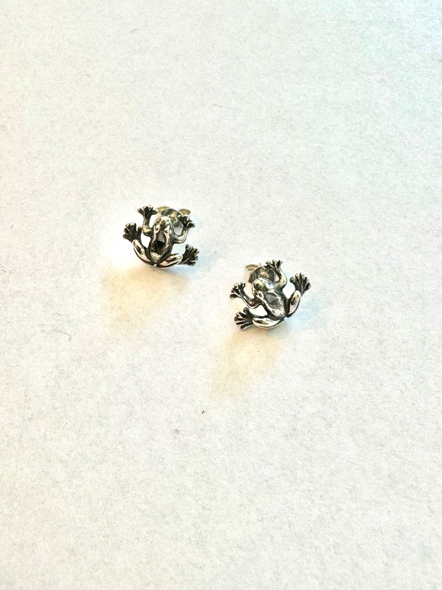 Zilver oorbellen kikker