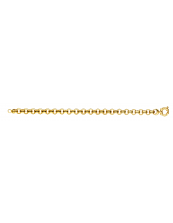 Jassaron collier 14 karaat geel goud met een 925 zilveren kern 47 cm lang. Schakel 8 mm breed met zware veerring sluiting.