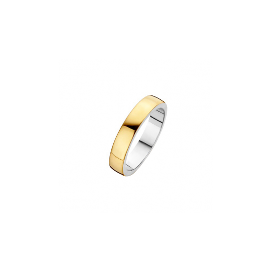 Fjory ring goud met zilver 41-R101755