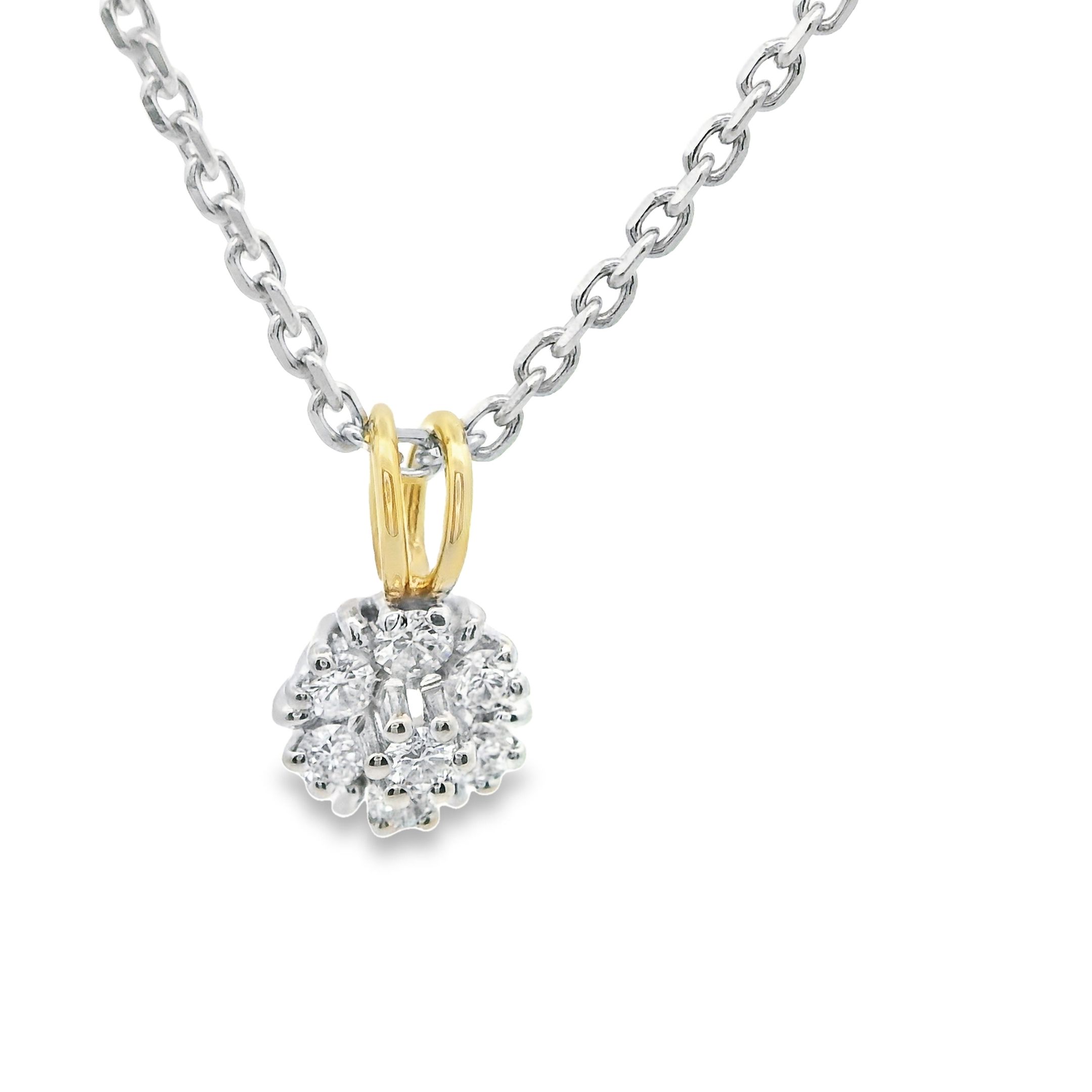Deze hanger van Louis Bros is vervaardigd uit 14 karaat bicolor (0.70.gr.) en is gezet met 6 briljant geslepen diamanten met een totaalgewicht van 0.15 ct. De hanger heeft een diameter van 6.5 mm en een dikte van 5 mm. Deze hanger is als een bloem die altijd in bloei staat, met zijn levendige kleuren en glinsterende stenen. Het bicolor goud voegt een speels contrast toe aan het ontwerp, terwijl de diamanten een vleugje elegantie en glamour toevoegen. Of je deze hanger nu draagt voor een speciale gelegenheid of als een dagelijks accessoire, het zal zeker de aandacht trekken en je laten stralen. Het is een perfecte manier om je liefde voor bloemen en je unieke stijl te laten zien.