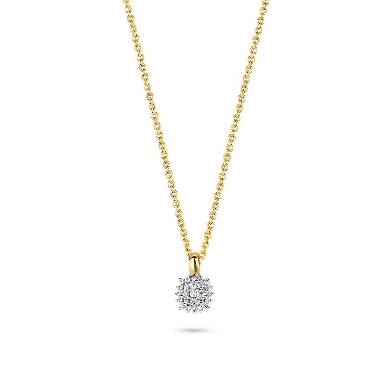 Hanger in witgoud met diamant 0,07ct aan een geelgouden ketting 
ketting is inbegrepen in de prijs