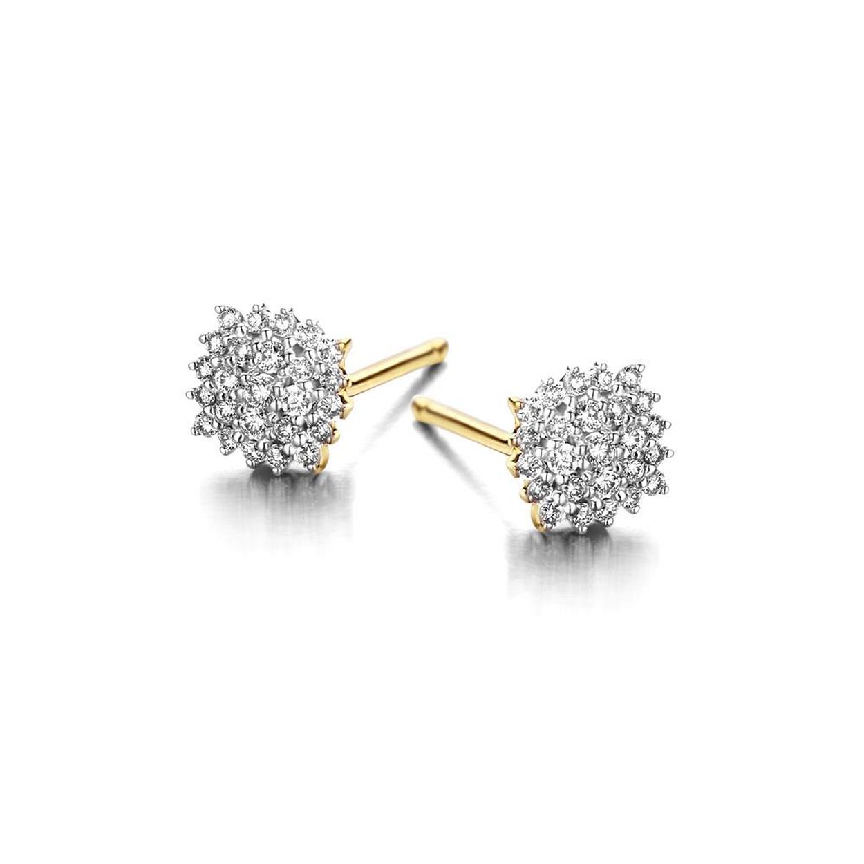 Oorbellen in 18kt goud met 0,14ct diamant