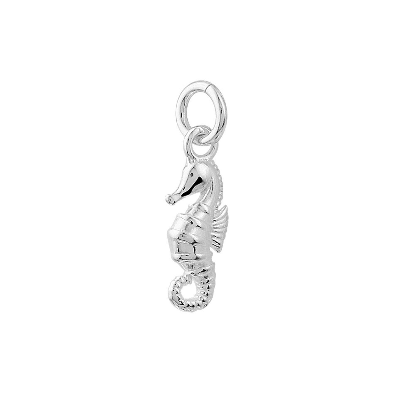 925 zilveren hanger uitgevoerd in de vorm van een zeepaard. De hanger heeft een totale hoogte van 2.1cm en een breedte van 6mm.