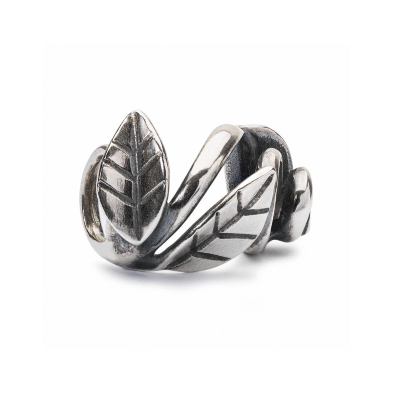 Trollbeads:"Door de natuur ingelijst"