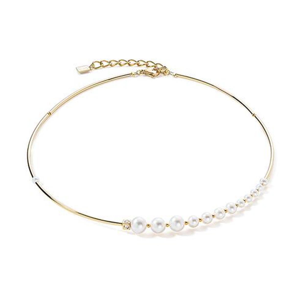 Dit is een collier van het merk Coeur de Lion gemaakt voor dames.
