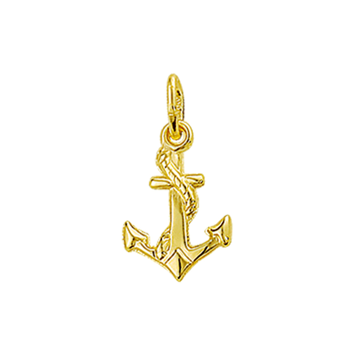 Geelgouden hanger met een anker.