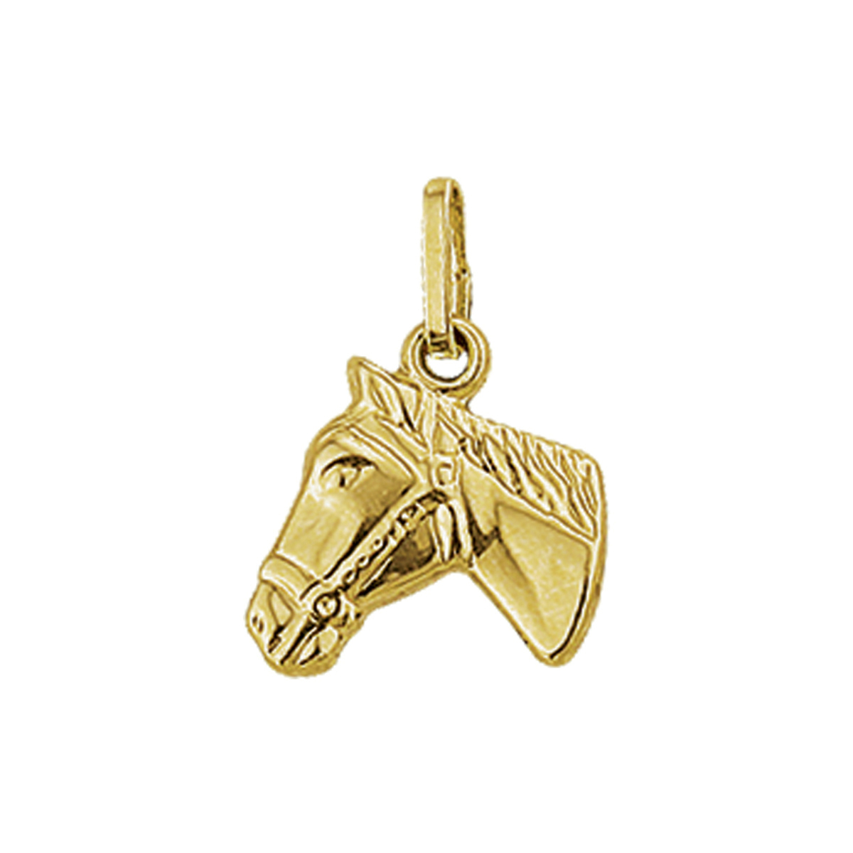 gd. hanger paardenhoogd