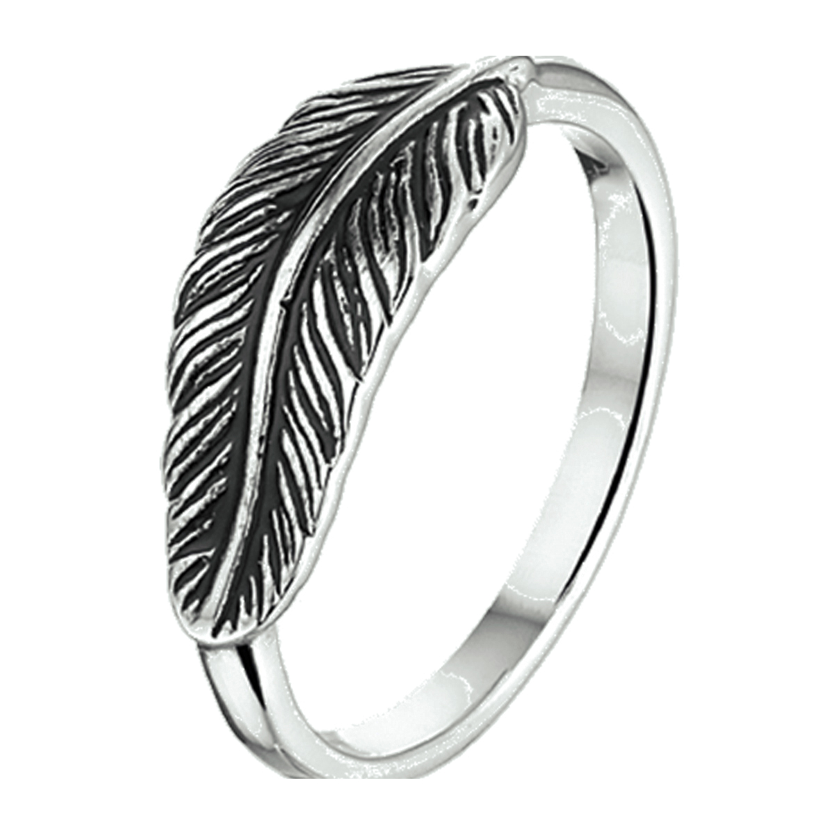 Stalen ring met een veer.