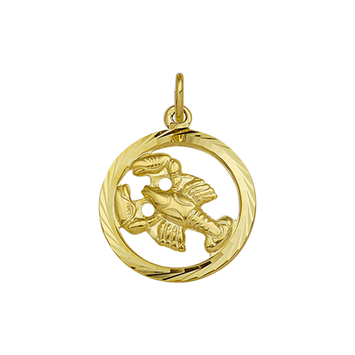 Geelgouden hanger met kreeft sterrenbeeld.