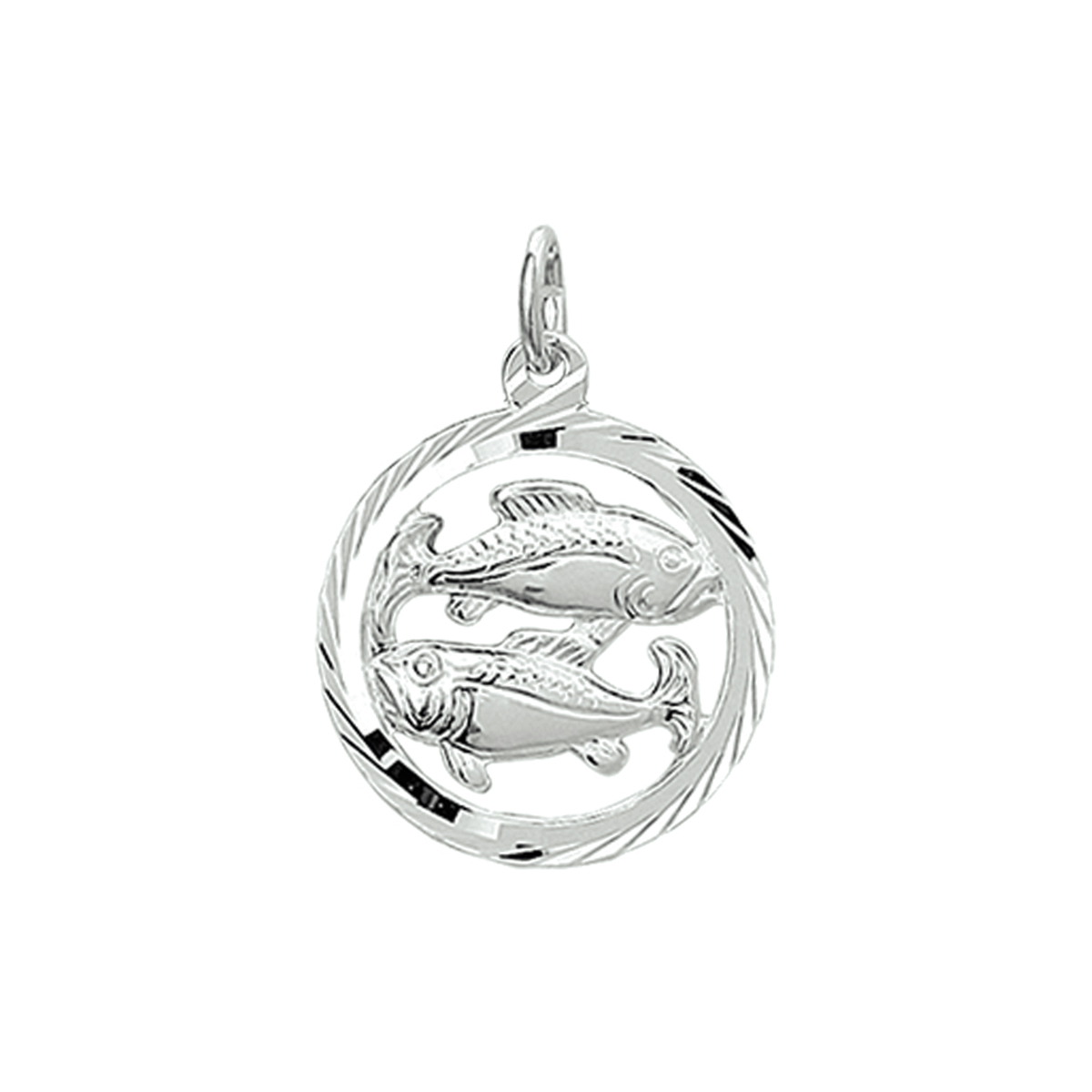 Zilveren sterrenbeeld hanger.