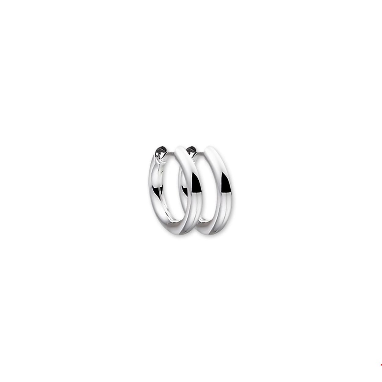 Zilver klapoorringen rond 15x2mm 
Doelgroep: dames
Breedte: 2mm
