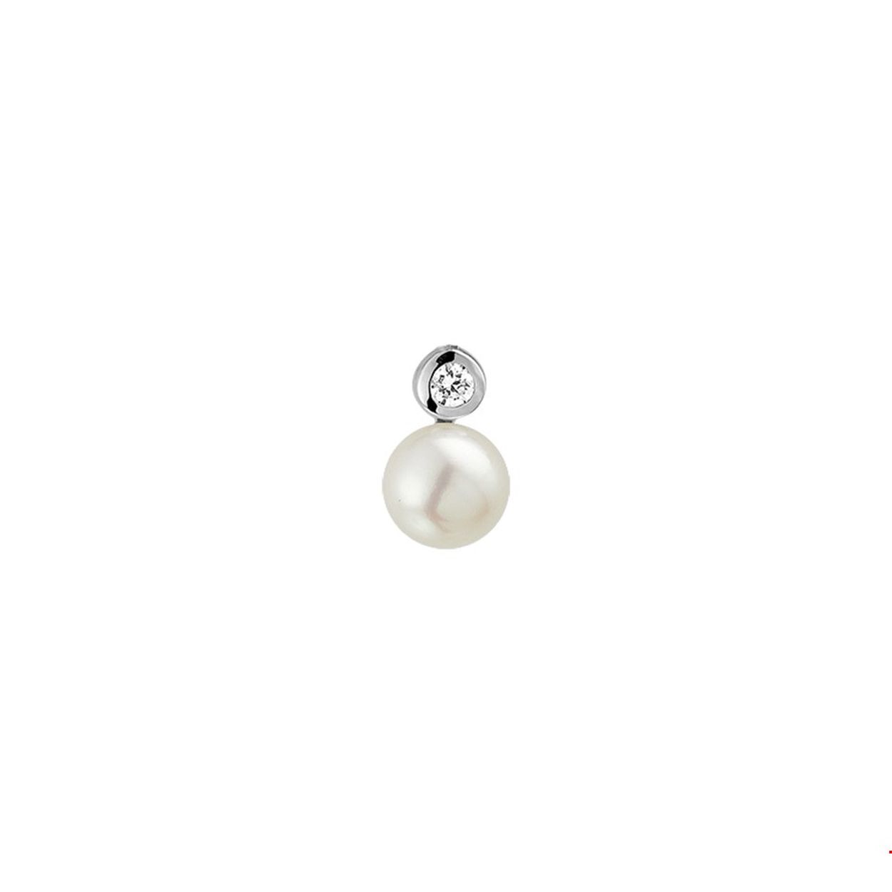 Zilver Hanger Parel Zirkonia 
Uniekenummer serie: VR1323321
Doelgroep: dames
Breedte: 8.5mm
Hoogte: 13.5mm
Zetting: kastzetting
