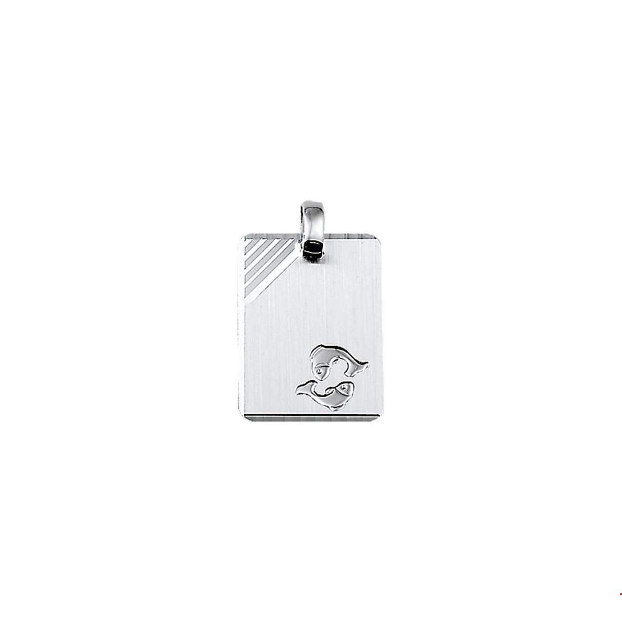 Zilver graveerhanger sterrenbeeld vissen
Uniekenummer serie: VR1323558
Doelgroep: unisex