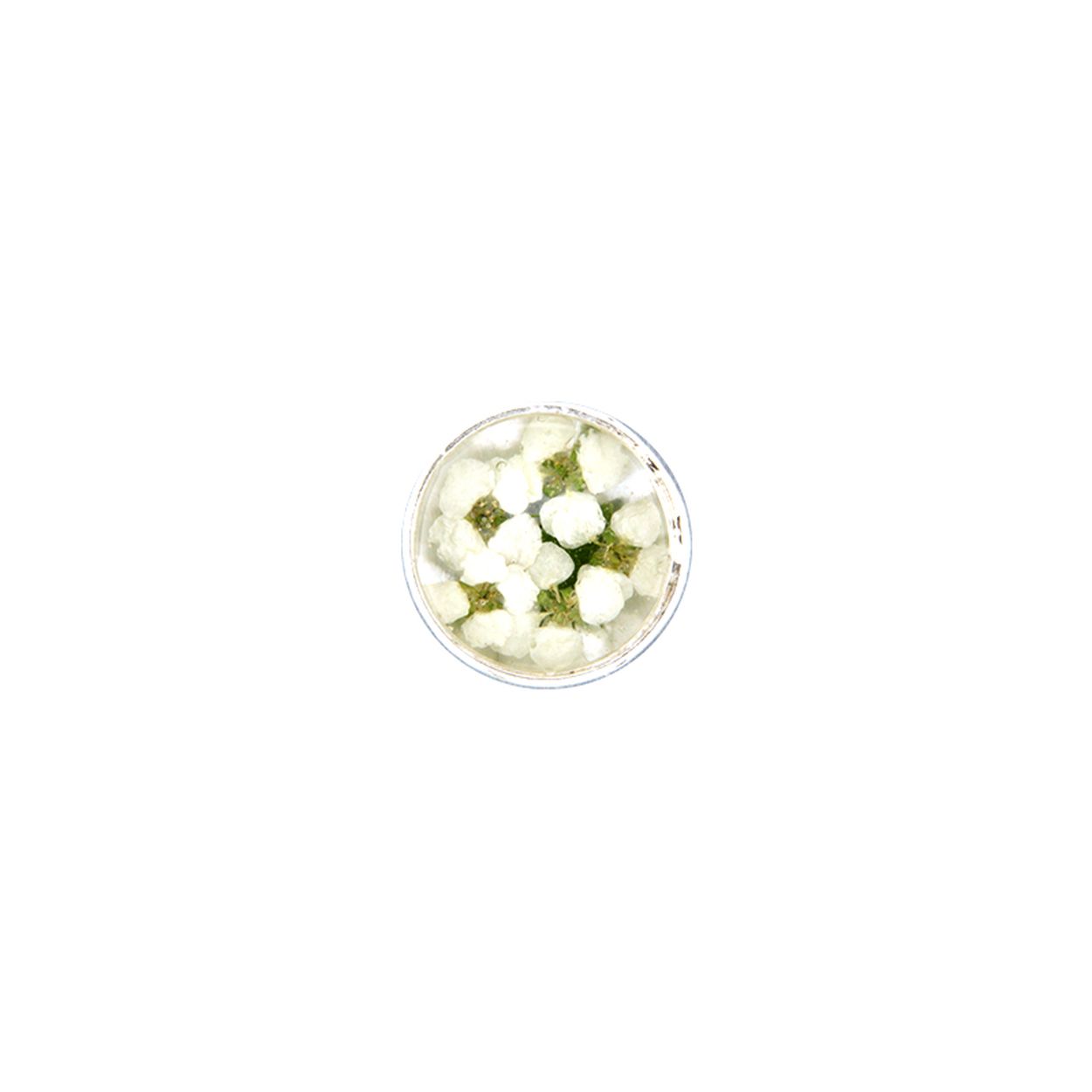 Ontdek de prachtige MY iMenso 141181 van de Flora Piccola (14mm) collectie voor dames. Het merk staat ook bekend om het grote assortiment sieraden van echt 925 zilver en schitterende (zirkonia) edelstenen.