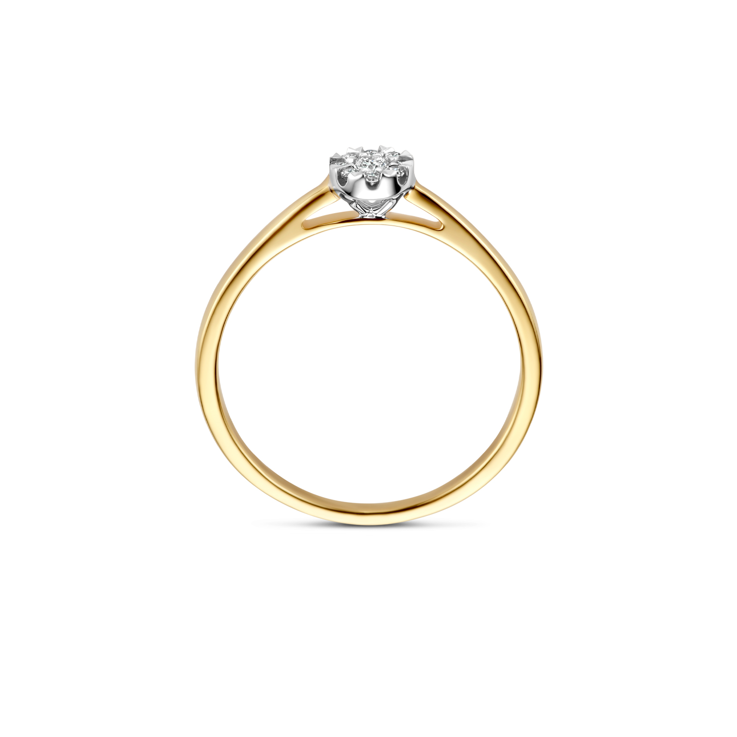 Blush Natural Diamonds Ring 1676BDI - Geel en Wit goud (14k) met Diamant