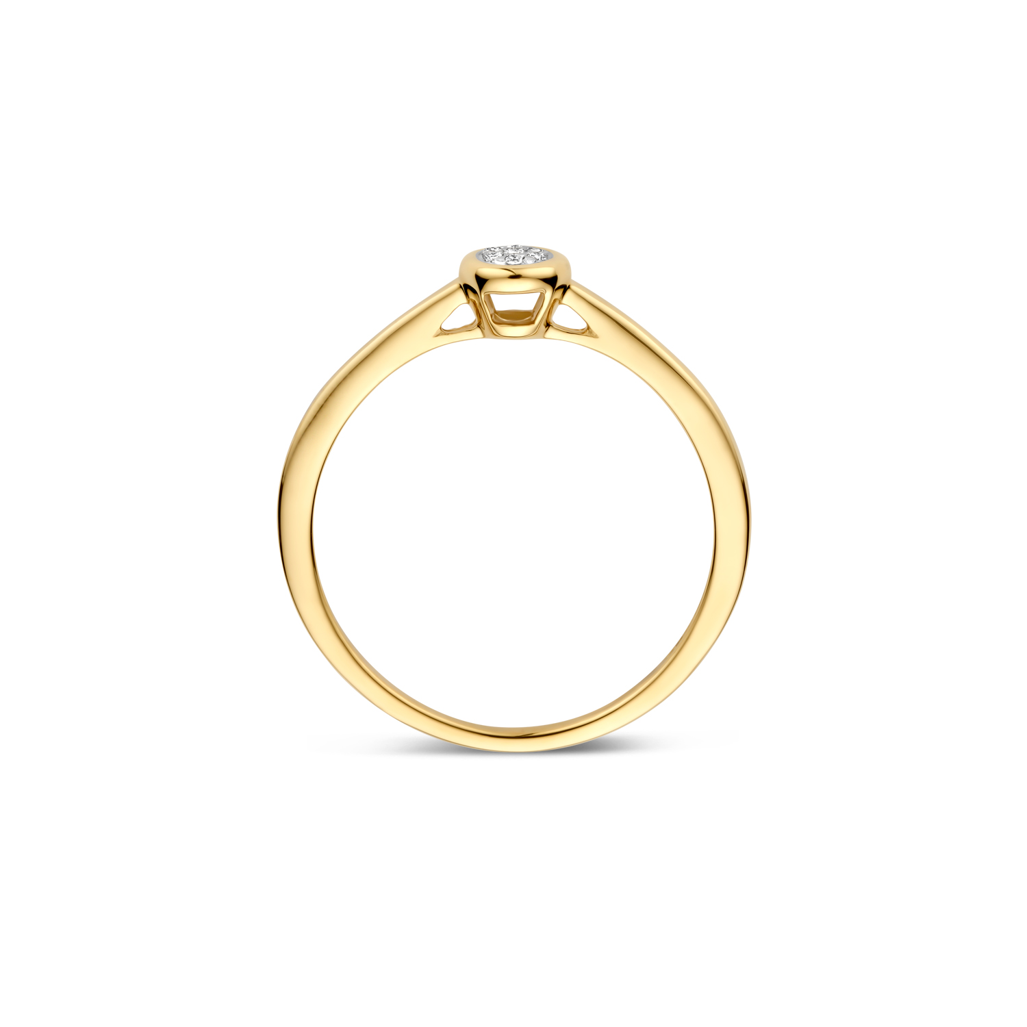 Blush Natural Diamonds Ring 1679BDI � Geel en Wit Goud (14k) met Diamant