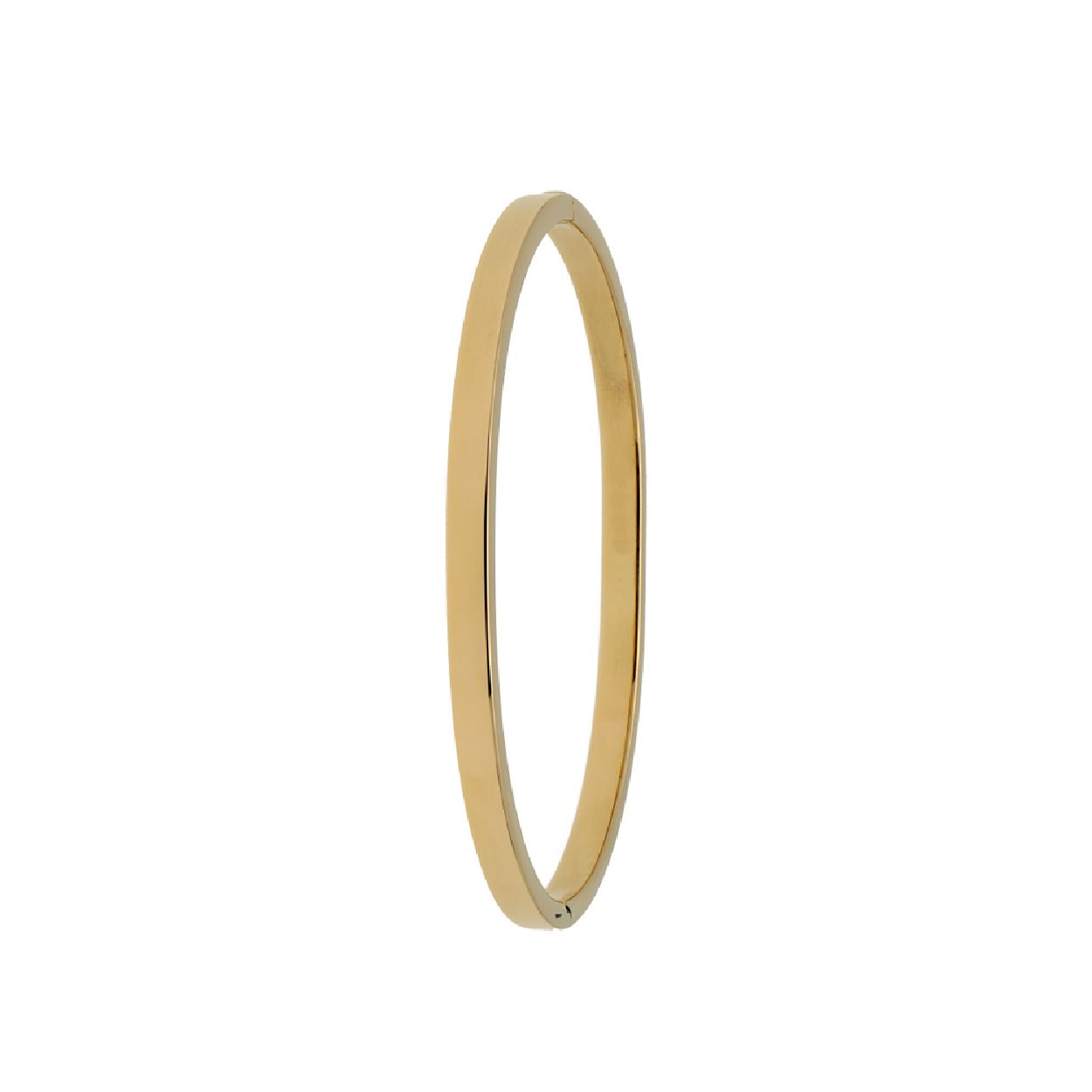 Deze armband is van het merk van Leeuwen. Het is een damessieraad gemaakt van goud. De armband is geel van kleur.
De verdere specificaties van de armband zijn als volgt:
Soort bewerking: geen bewerking
Lengte: 
Steensoort: Geen edelsteen
Steenkleur: Geen steen