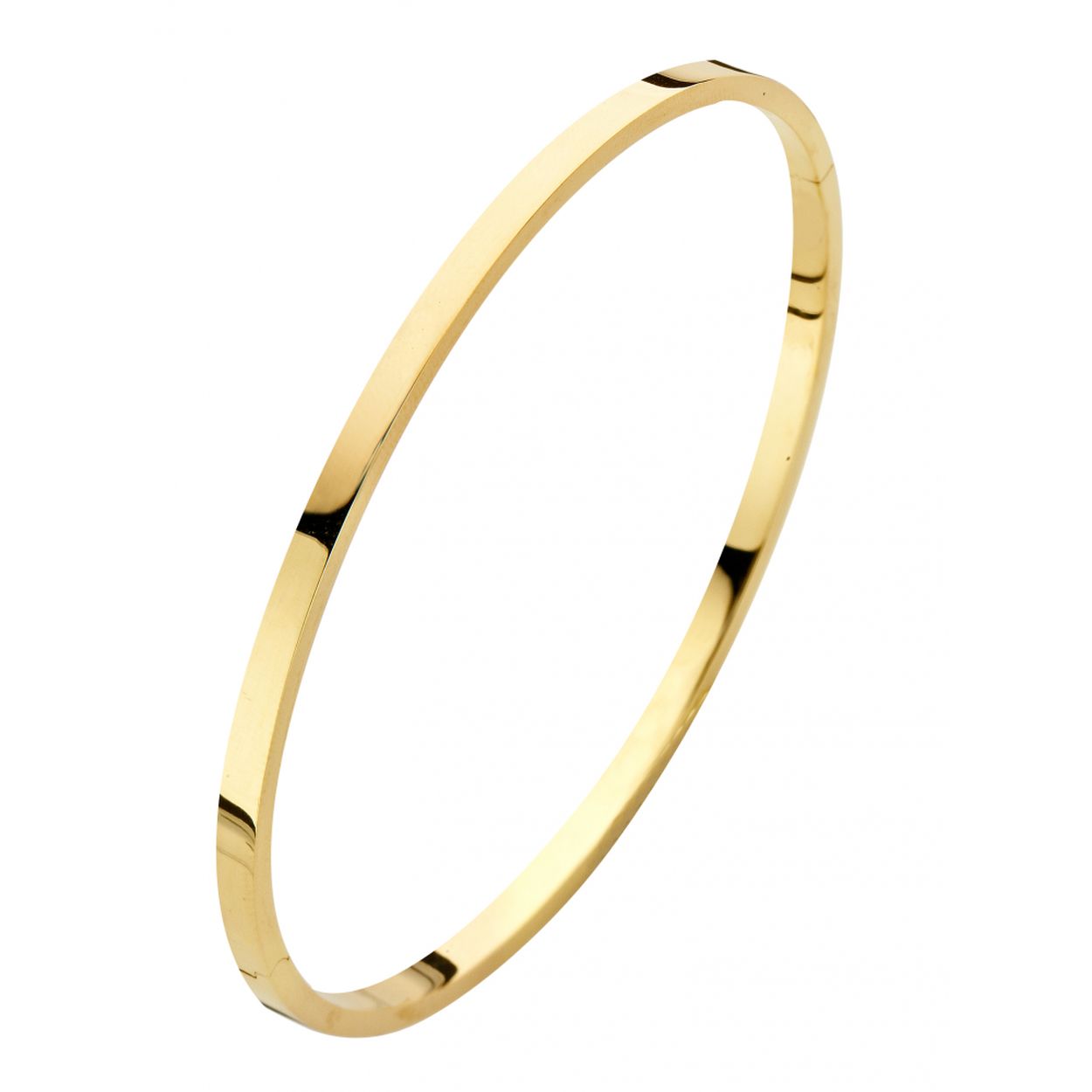 gouden Fjory slavenarmband met zilveren kern, vk 3x61mm 