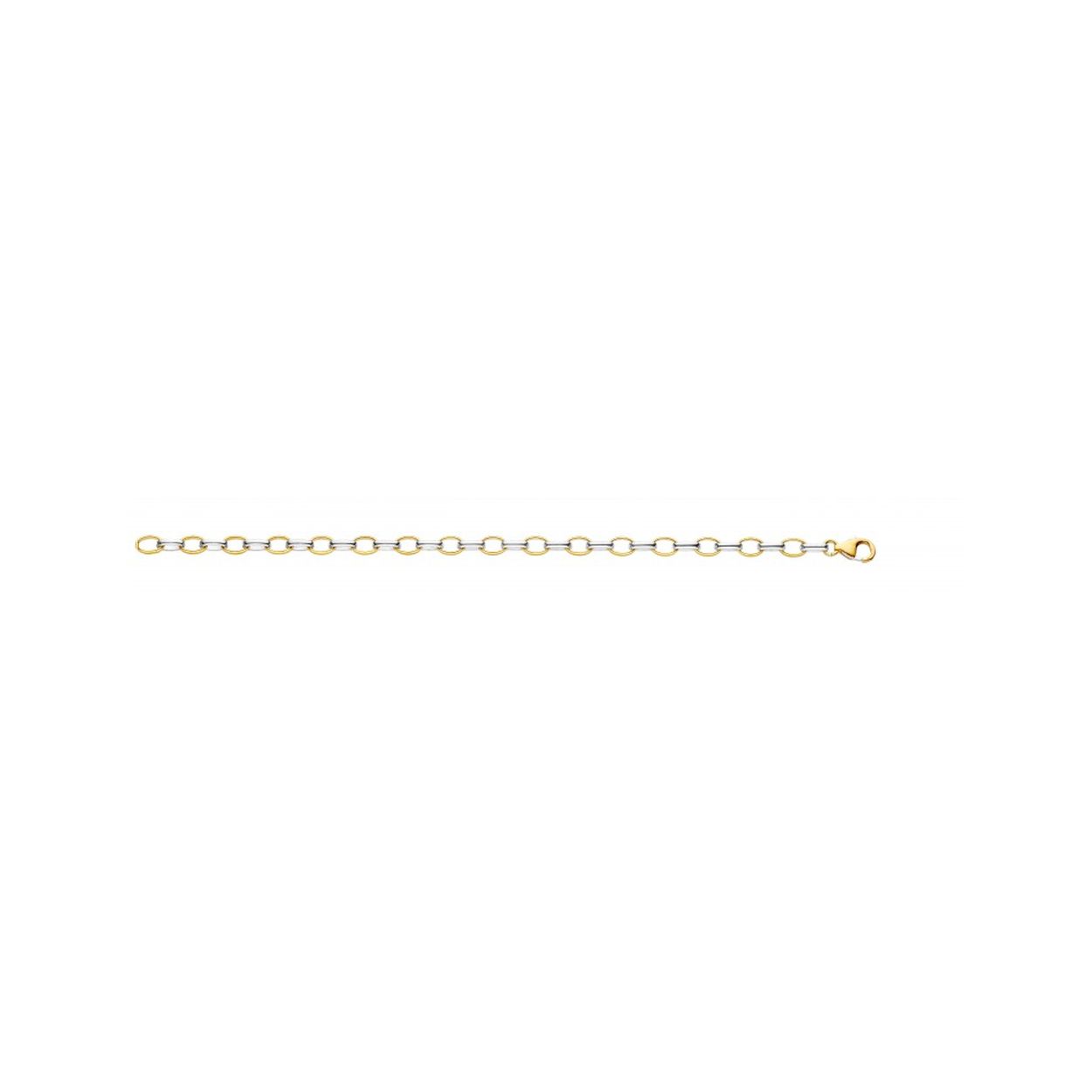 bicolor gouden jasseron collier, Fjory 50cm