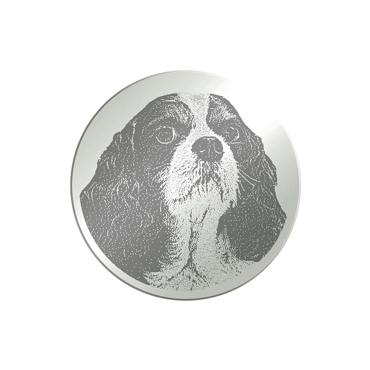 Ontdek de prachtige MY iMenso 241017k0 van de Personal engraving Mezza (24mm) collectie voor dames. Het merk staat ook bekend om het grote assortiment sieraden van echt 925 zilver en schitterende (zirkonia) edelstenen.