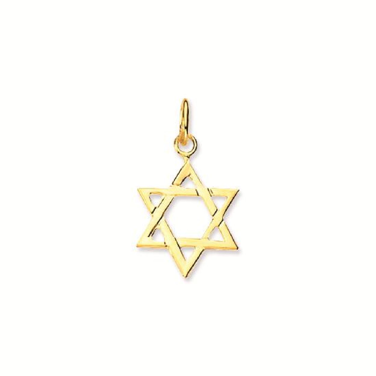 Deze hanger is van het merk van Leeuwen. Het is een unisexsieraad gemaakt van goud. De hanger is geel van kleur.
De verdere specificaties van de hanger zijn als volgt:
Soort bewerking: geen bewerking
Lengte: 14
Steensoort: Geen edelsteen
Steenkleur: Geen steen
