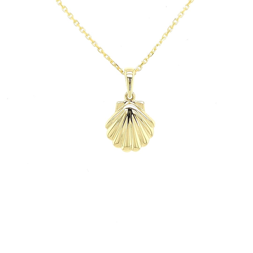 Deze geel gouden hanger is ontzettend leuk! Een schelp draagt meestal niks anders dan mooie herinneringen met zich mee. De hanger is fijn bewerkt en volledig glad gepolijst. 

Note: het kettinkje hoort niet bij de hanger, deze is enkel gebruikt voor de foto.