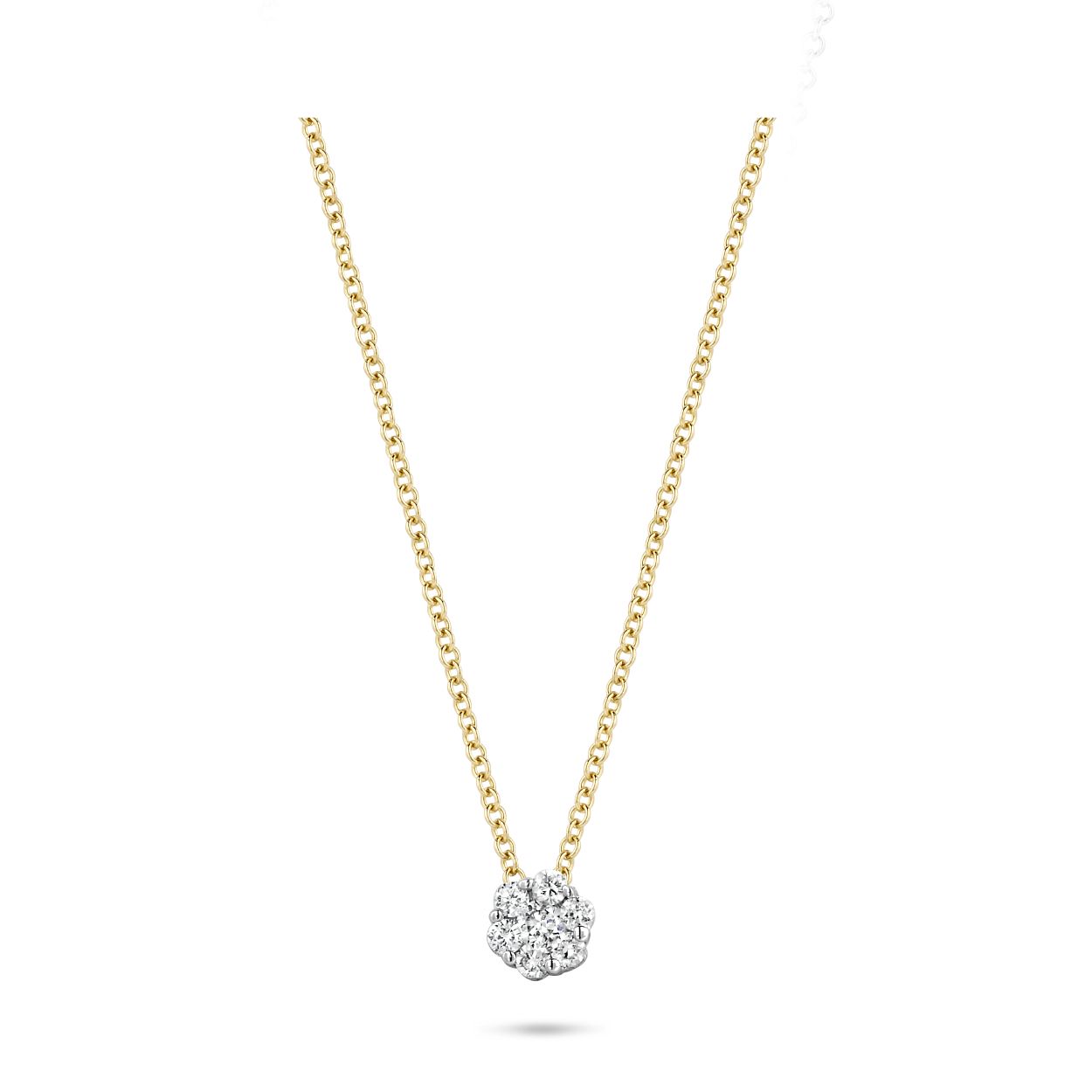 Blush Diamonds Collier 14k wit- en geelgoud met diamant