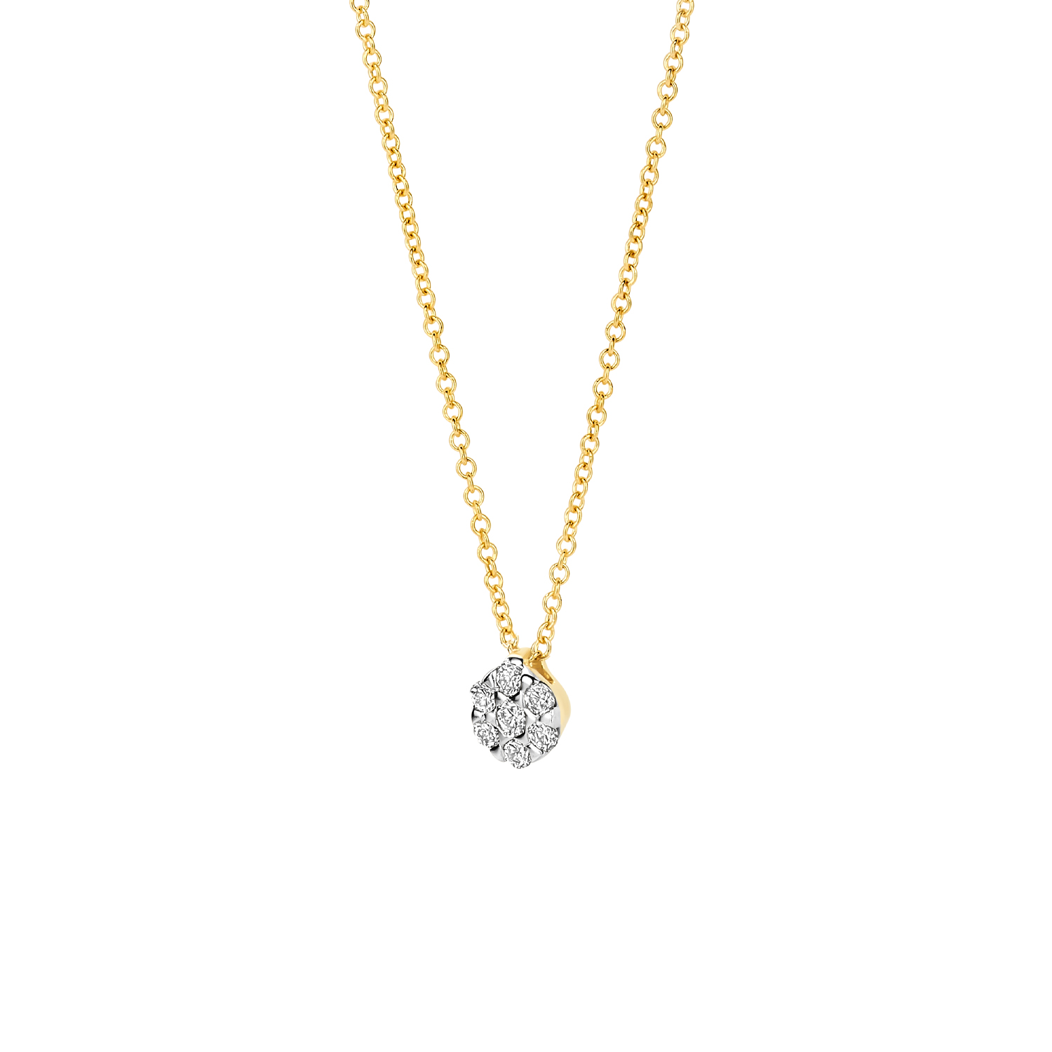 Blush Natural Diamonds Collier 3616BDI � Geel en Wit Goud (14k) met Diamant