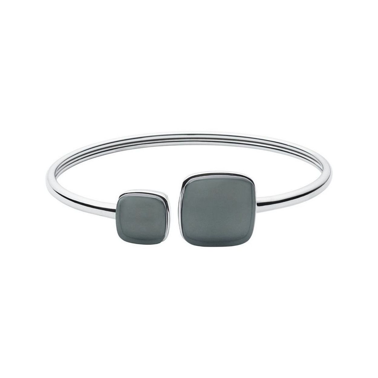 SKAGEN Armband SKJ0870040