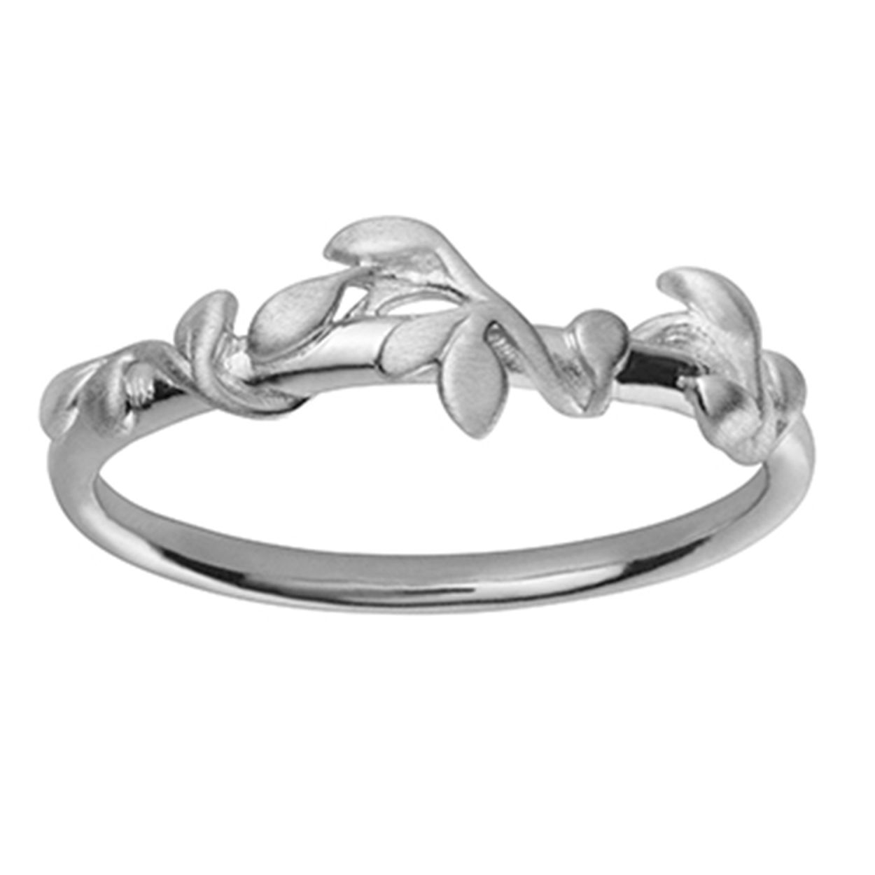 zilveren ring