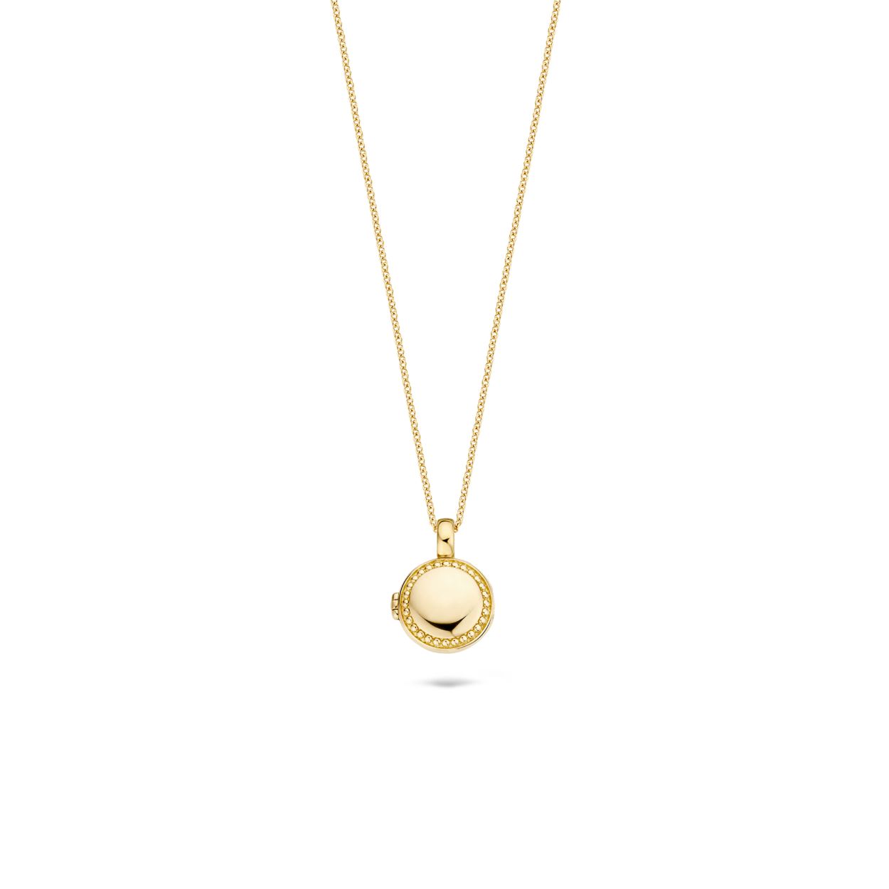 Blush Medallion 6080YGO - Geel Goud (14krt.)