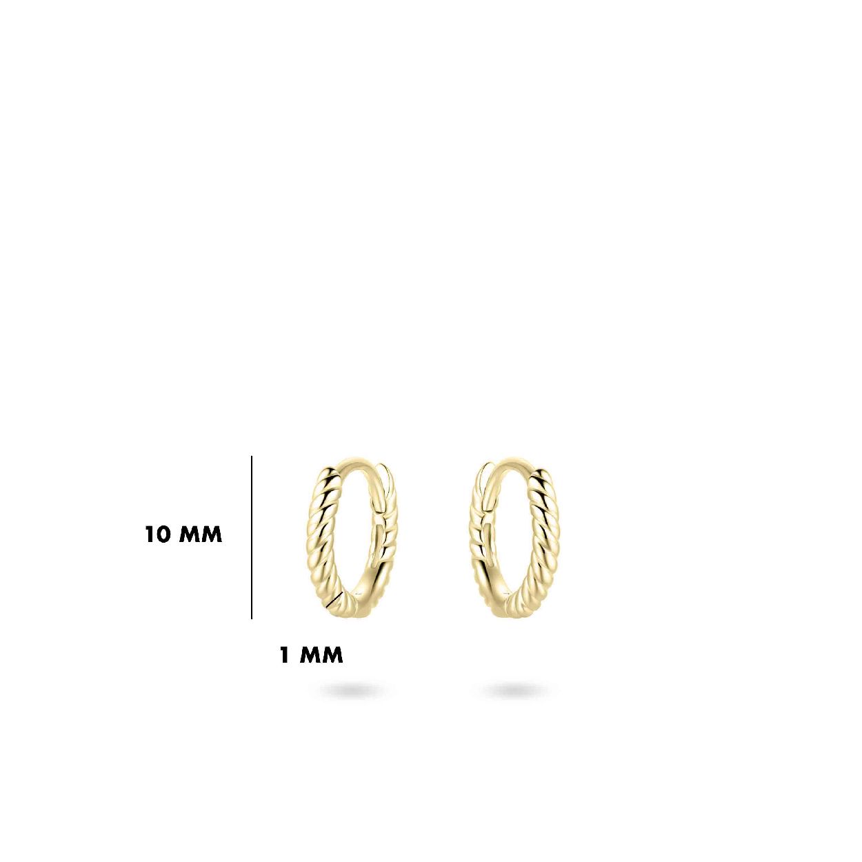 Gisser Jewels Zilver oorringen goud VGKCJ1/10