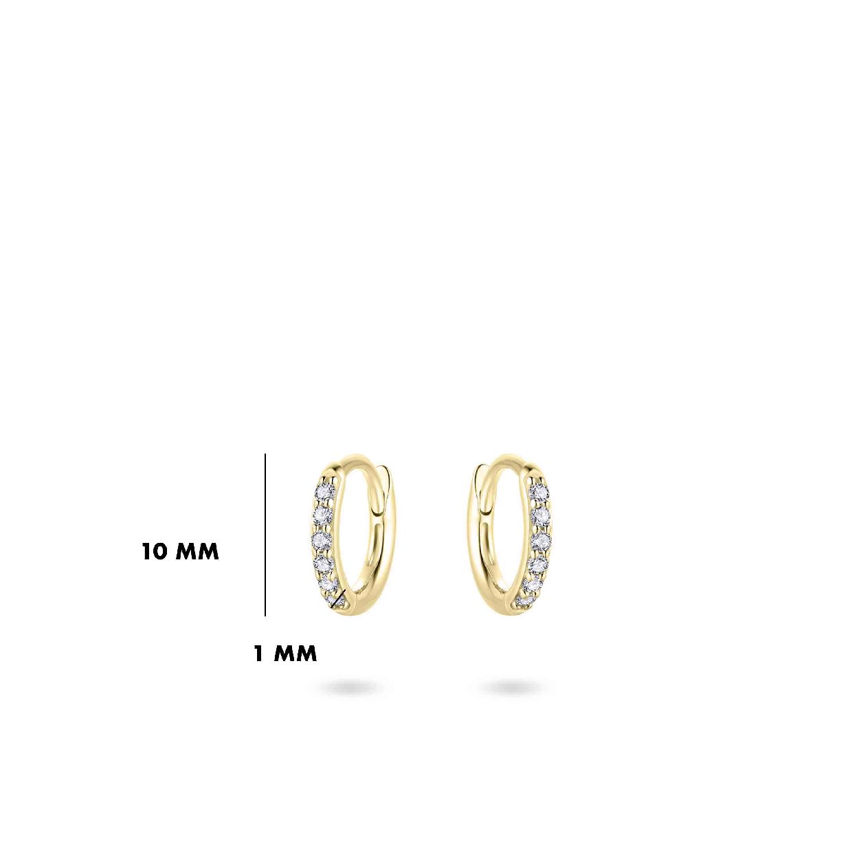 Oorbellen creool 14kt geel goud gisser zirconium