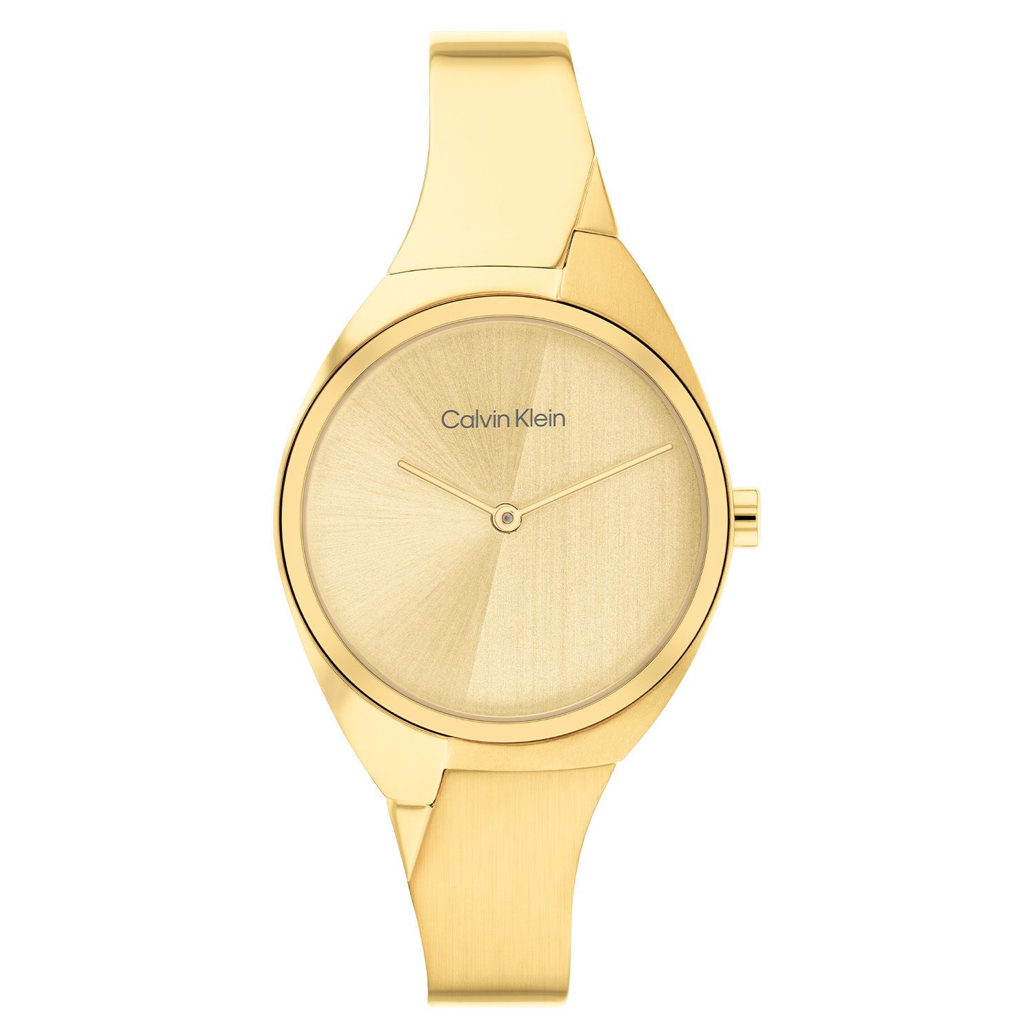 Calvin Klein CK25200235 Charming Dames Horloge
