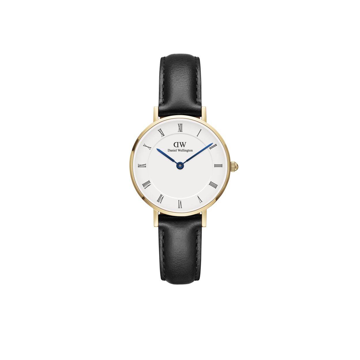 Watch DW PETITE Roman Numerals  28 Sheffield G White