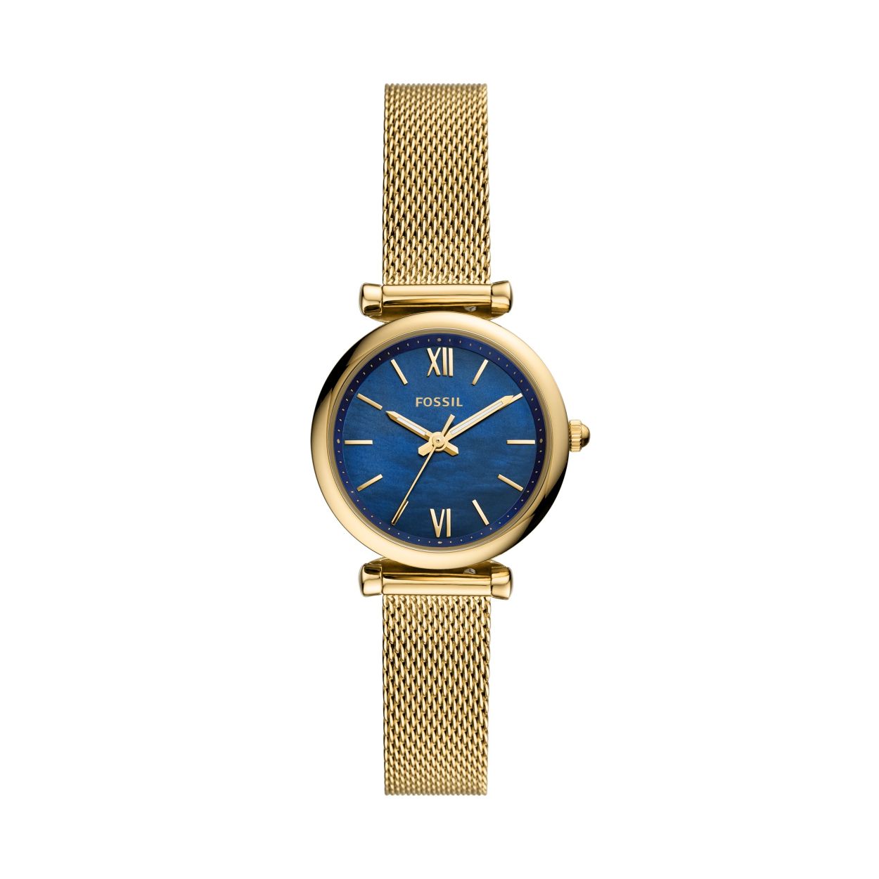 Een prachtig horloge van het merk FOSSIL