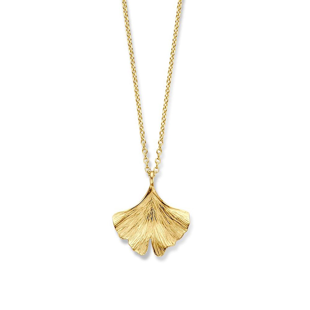 14 krt. geelgouden collier met een bijzondere Ginkgo blad hanger.