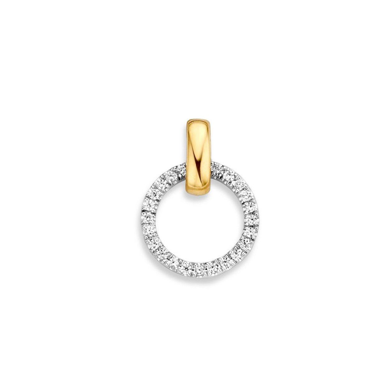 Gouden hanger met zirkonia's.
